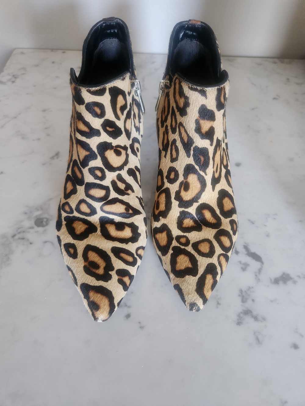 Sam Edelman Leopard Print Ankle Booties in Tan & Black